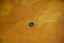 Picture of Fuel Injector Seal